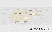 Shaded Relief Panoramic Map of Vilkaviskio, lighten, desaturated