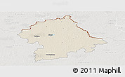 Shaded Relief Panoramic Map of Birzu, lighten, semi-desaturated