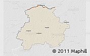Shaded Relief 3D Map of Pasvalio, lighten, desaturated