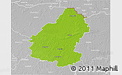 Physical 3D Map of Pakruojo, lighten, desaturated