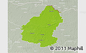 Physical 3D Map of Pakruojo, lighten, semi-desaturated
