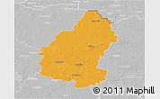 Political 3D Map of Pakruojo, lighten, desaturated