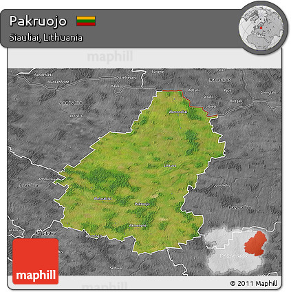 Satellite 3D Map of Pakruojo, desaturated