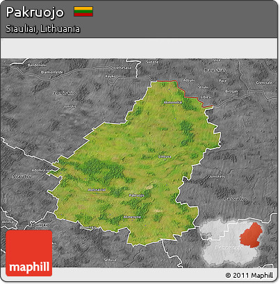 Satellite 3D Map of Pakruojo, desaturated