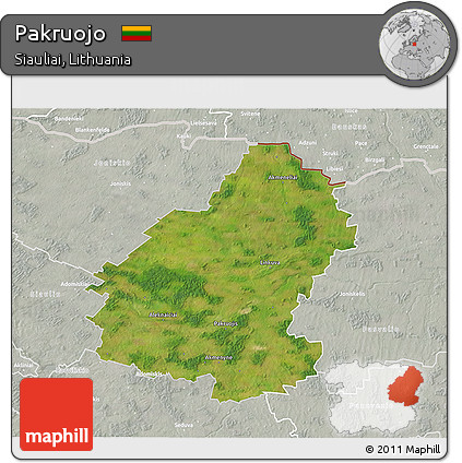 Satellite 3D Map of Pakruojo, lighten, semi-desaturated