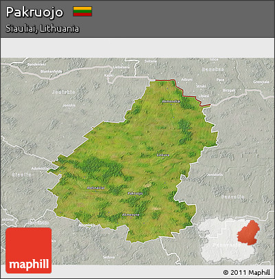 Satellite 3D Map of Pakruojo, lighten, semi-desaturated
