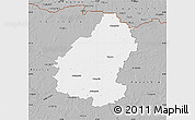 Gray Map of Pakruojo