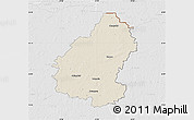 Shaded Relief Map of Pakruojo, lighten, desaturated
