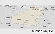 Shaded Relief Panoramic Map of Pakruojo, desaturated