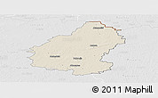 Shaded Relief Panoramic Map of Pakruojo, lighten, desaturated