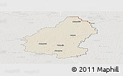 Shaded Relief Panoramic Map of Pakruojo, lighten, semi-desaturated