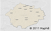 Shaded Relief 3D Map of Radviliskio, lighten, desaturated
