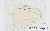 Shaded Relief Map of Radviliskio, lighten, desaturated