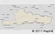 Shaded Relief 3D Map of Jurbarko, desaturated