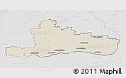 Shaded Relief 3D Map of Jurbarko, lighten, desaturated