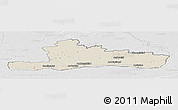Shaded Relief Panoramic Map of Jurbarko, lighten, desaturated