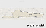 Shaded Relief Panoramic Map of Jurbarko, lighten