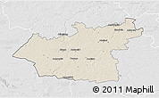 Shaded Relief 3D Map of Taurages, lighten, desaturated