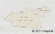 Shaded Relief 3D Map of Taurages, lighten, semi-desaturated