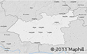 Silver Style 3D Map of Taurages