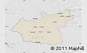 Shaded Relief Map of Taurages, lighten, desaturated