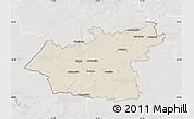 Shaded Relief Map of Taurages, lighten, semi-desaturated