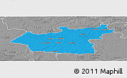 Political Panoramic Map of Taurages, desaturated