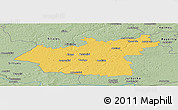 Savanna Style Panoramic Map of Taurages