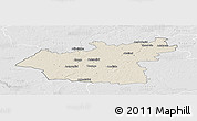 Shaded Relief Panoramic Map of Taurages, lighten, desaturated