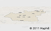 Shaded Relief Panoramic Map of Taurages, lighten