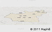 Shaded Relief Panoramic Map of Taurages, lighten, semi-desaturated
