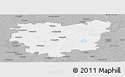 Gray Panoramic Map of Anyksciu