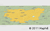 Savanna Style Panoramic Map of Anyksciu