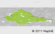Physical Panoramic Map of Zarasu, lighten, desaturated
