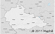 Silver Style 3D Map of Ukmerges