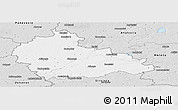Silver Style Panoramic Map of Ukmerges