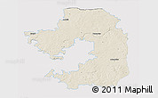 Shaded Relief 3D Map of Vilniaus, single color outside