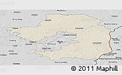 Shaded Relief Panoramic Map of Vilniaus, desaturated