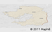 Shaded Relief Panoramic Map of Vilniaus, lighten, desaturated