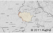 Shaded Relief 3D Map of Redange, desaturated