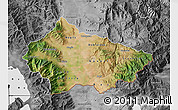 Satellite Map of Bitola, desaturated