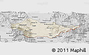 Shaded Relief Panoramic Map of Bitola, desaturated