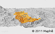 Political Shades Panoramic Map of Kavadarci, lighten, desaturated