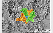 Political Map of Kicevo, desaturated