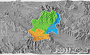 Political 3D Map of Radovis, desaturated