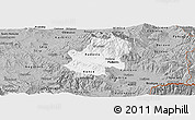 Gray Panoramic Map of Radovis