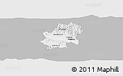 Gray Panoramic Map of Radovis, single color outside