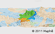 Political Panoramic Map of Radovis, lighten