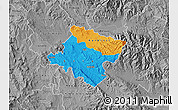 Political Map of Stip, desaturated