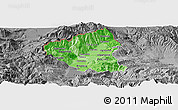 Political Shades Panoramic Map of Tetovo, desaturated